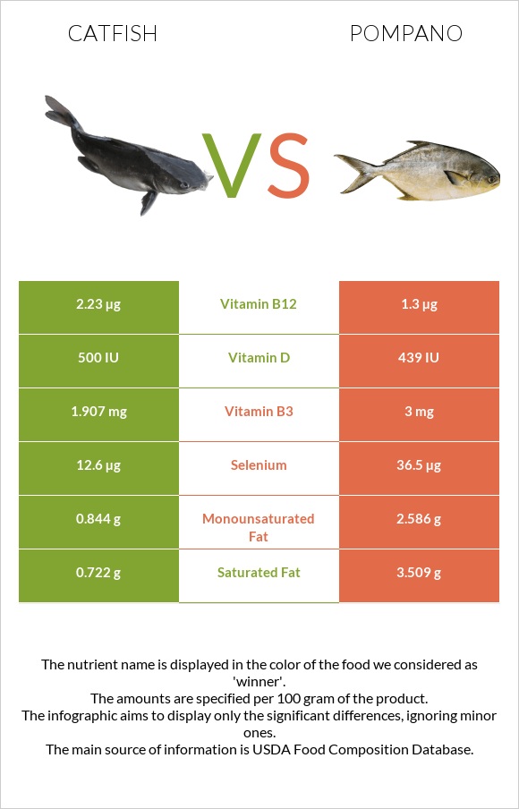 Catfish vs Pompano infographic