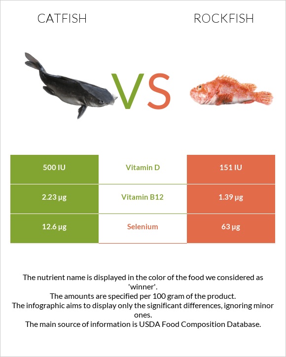 Catfish vs Rockfish infographic