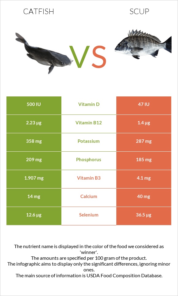 Catfish vs Scup infographic