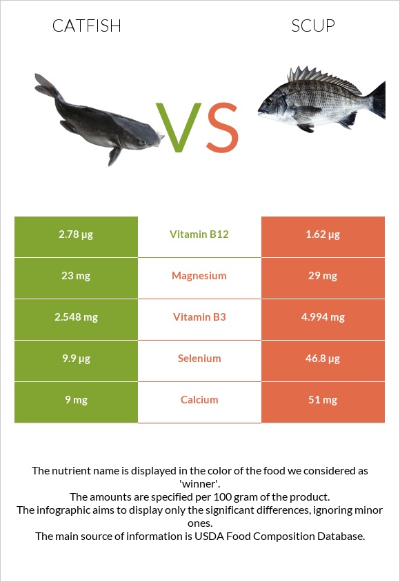 Catfish vs Scup infographic