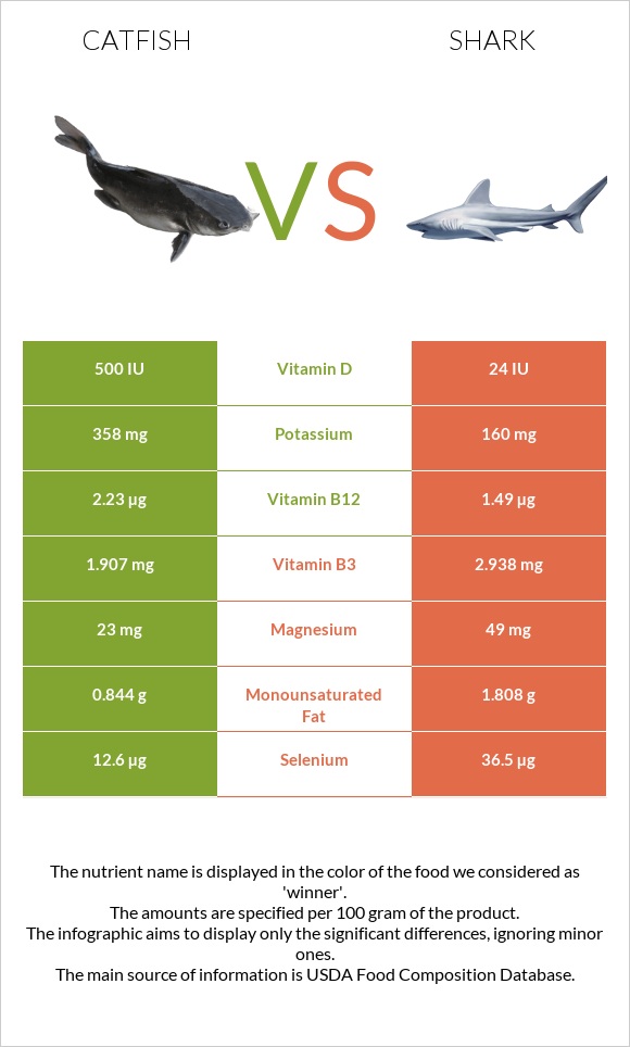 Catfish vs Shark infographic