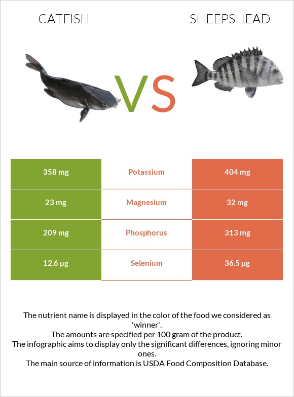 Catfish vs Sheepshead infographic