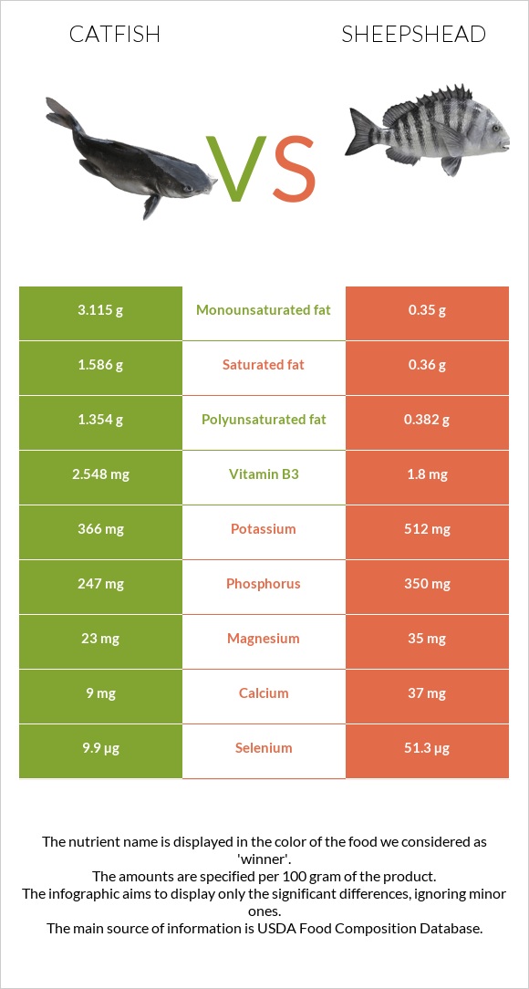 Catfish vs Sheepshead infographic