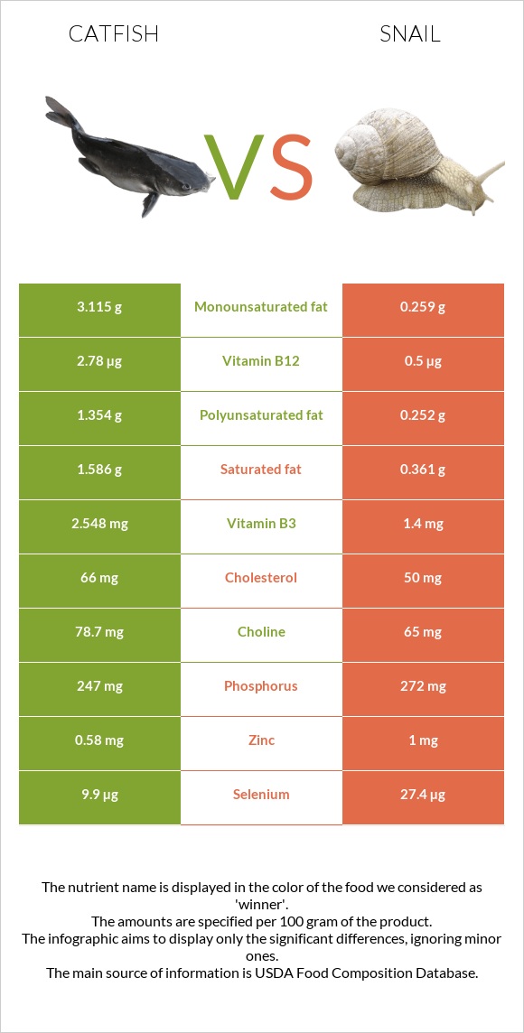 Catfish vs Snail infographic