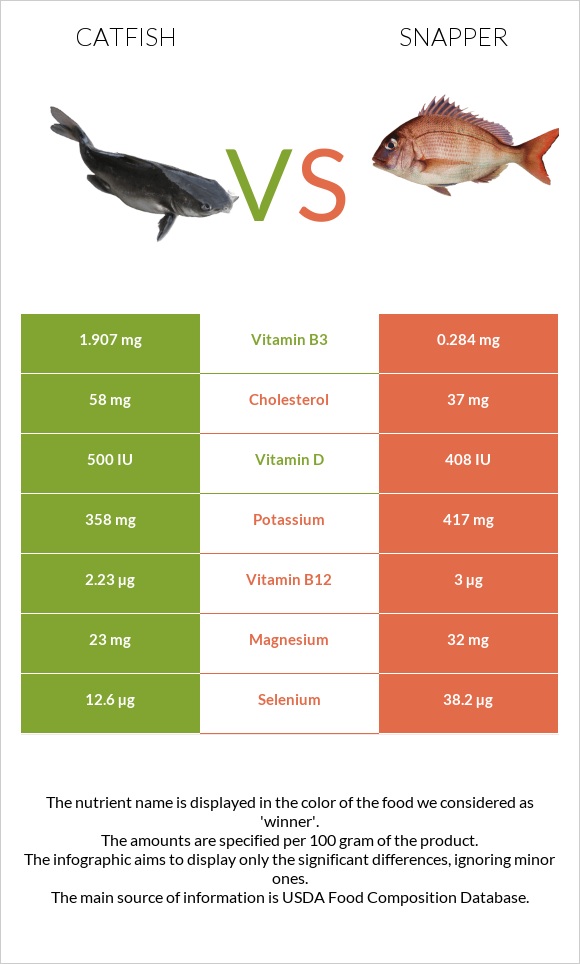Catfish vs Snapper infographic