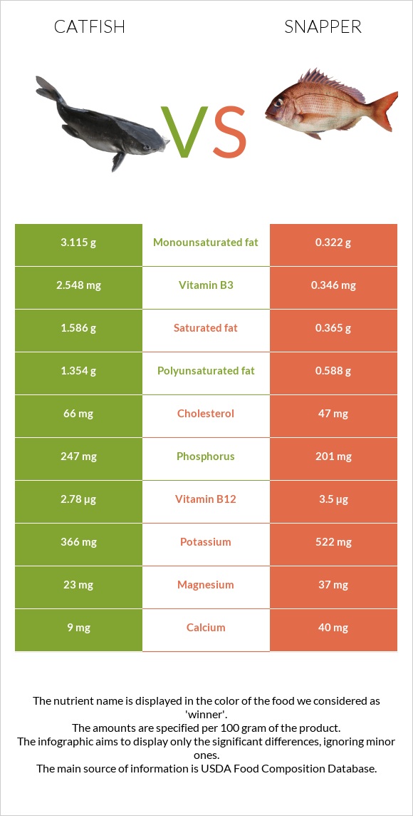 Catfish vs Snapper infographic