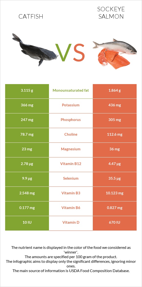 Catfish vs Կարմիր սաղմոն infographic