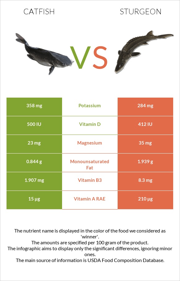 Catfish vs Sturgeon infographic