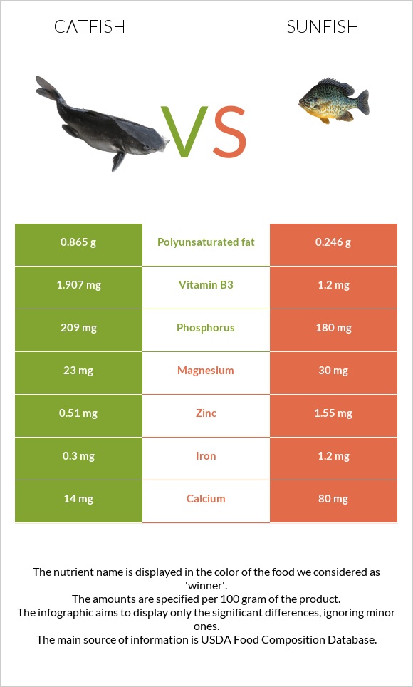 Catfish vs Sunfish infographic