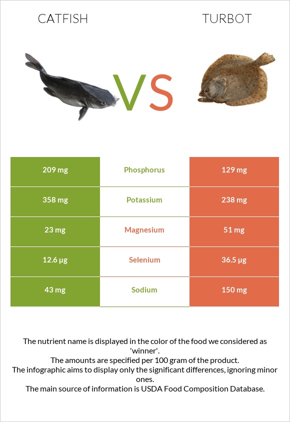 Catfish vs Turbot infographic