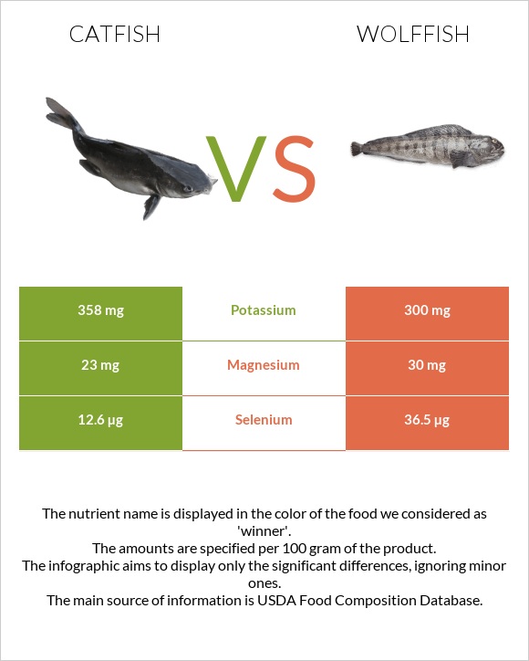 Catfish vs Wolffish infographic
