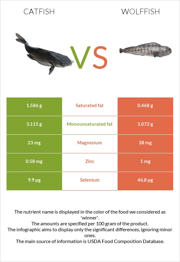 Catfish vs Wolffish infographic