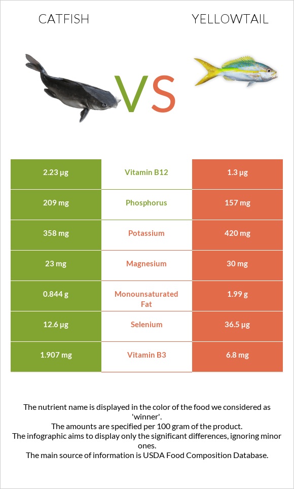 Catfish vs Yellowtail infographic