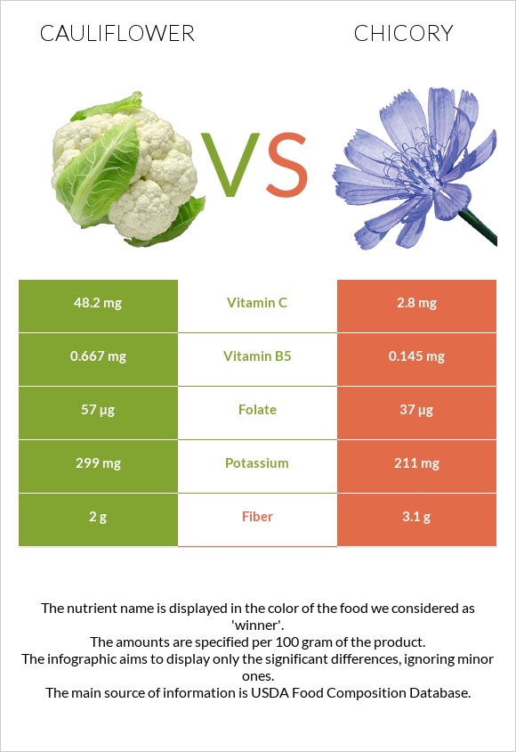 Cauliflower vs Chicory infographic