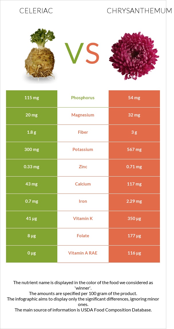 Celeriac vs Chrysanthemum infographic