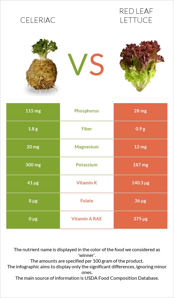 Celeriac vs Red leaf lettuce infographic