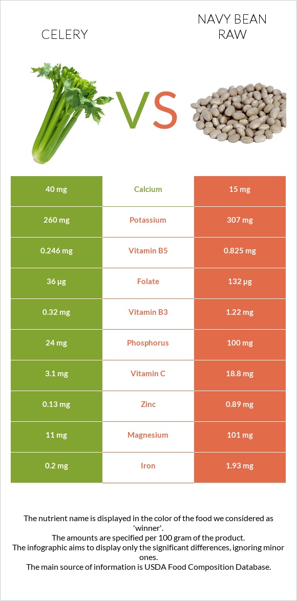 Celery vs Navy bean raw infographic