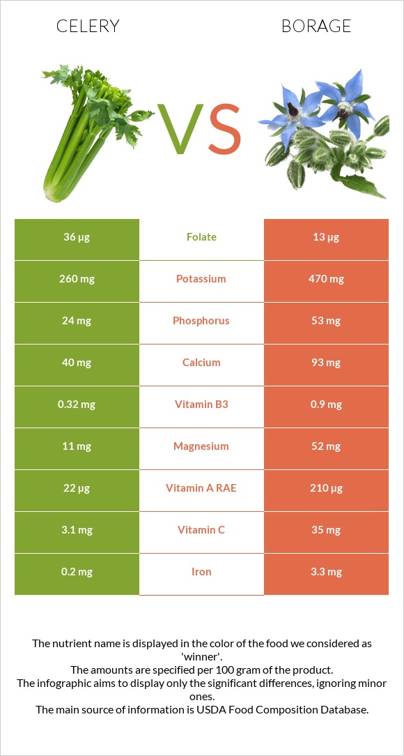 Celery vs Borage infographic