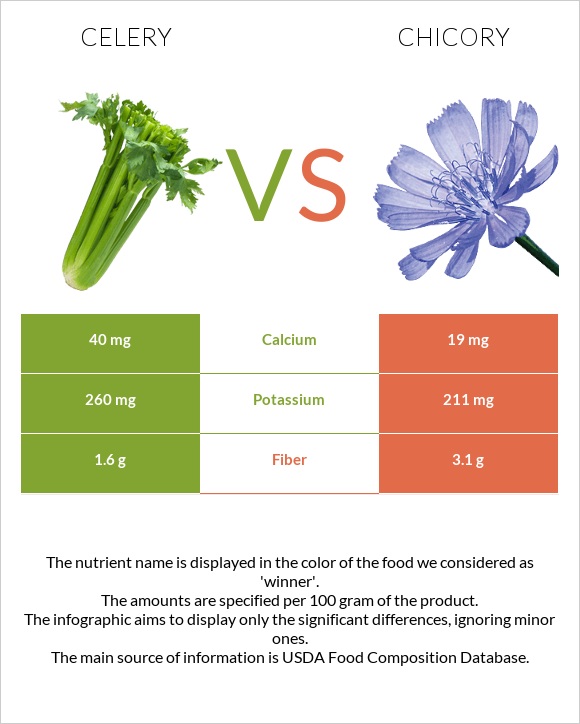 Celery vs Chicory infographic