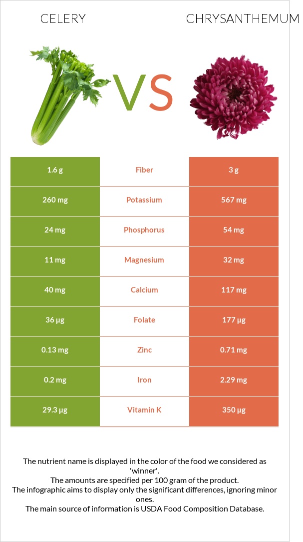 Celery vs Chrysanthemum infographic