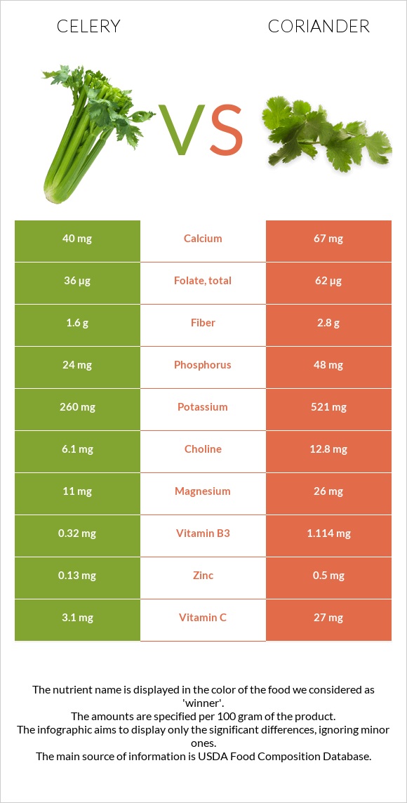 Celery vs Coriander infographic