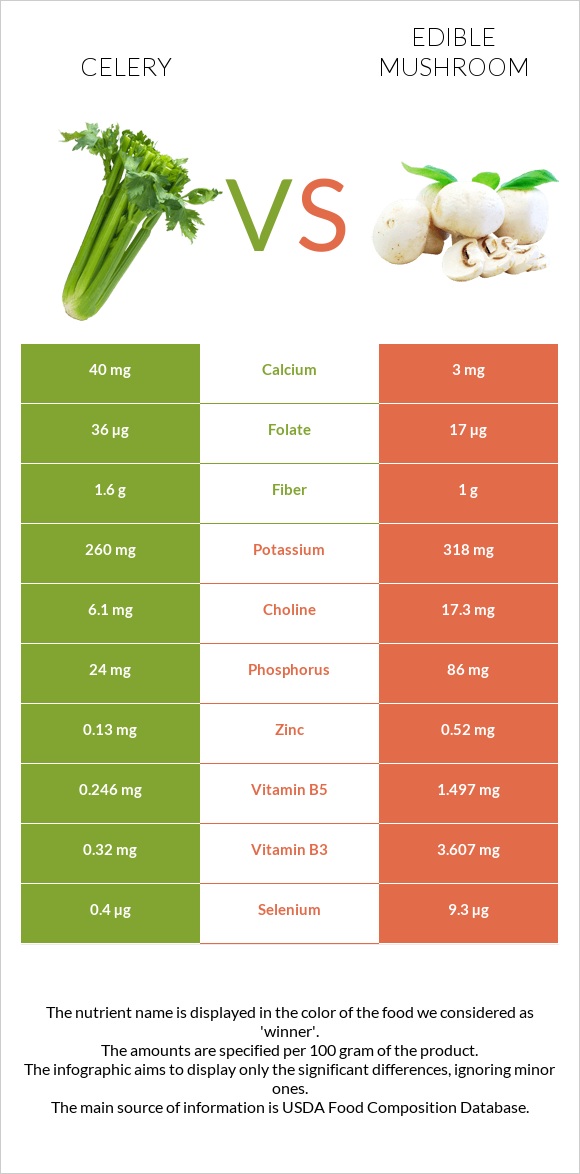 Celery vs Edible mushroom infographic