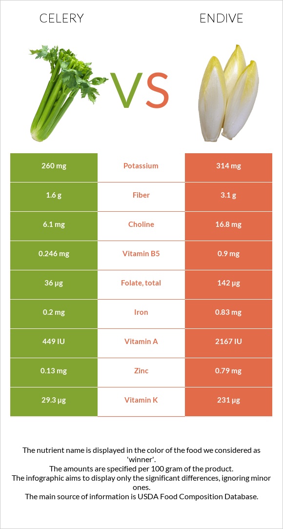 Celery vs Endive infographic