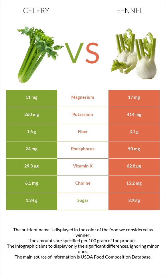 Celery vs Fennel infographic