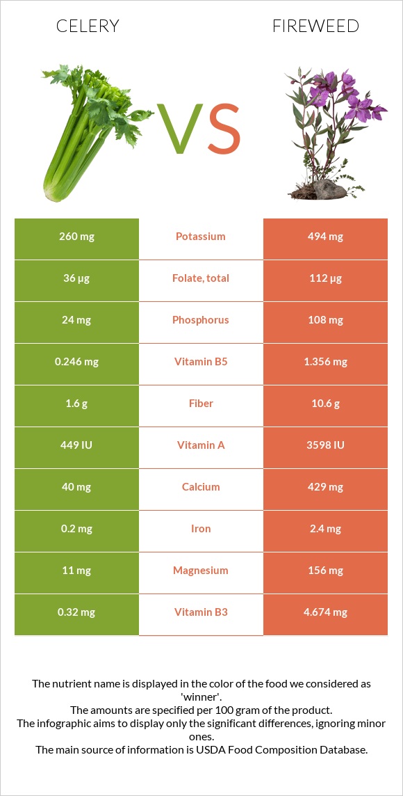 Celery vs Fireweed infographic