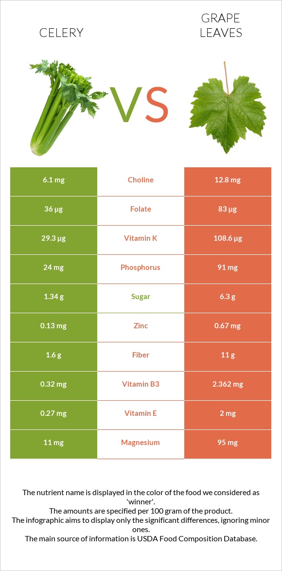 Նեխուր բուրավետ vs Խաղողի թուփ infographic