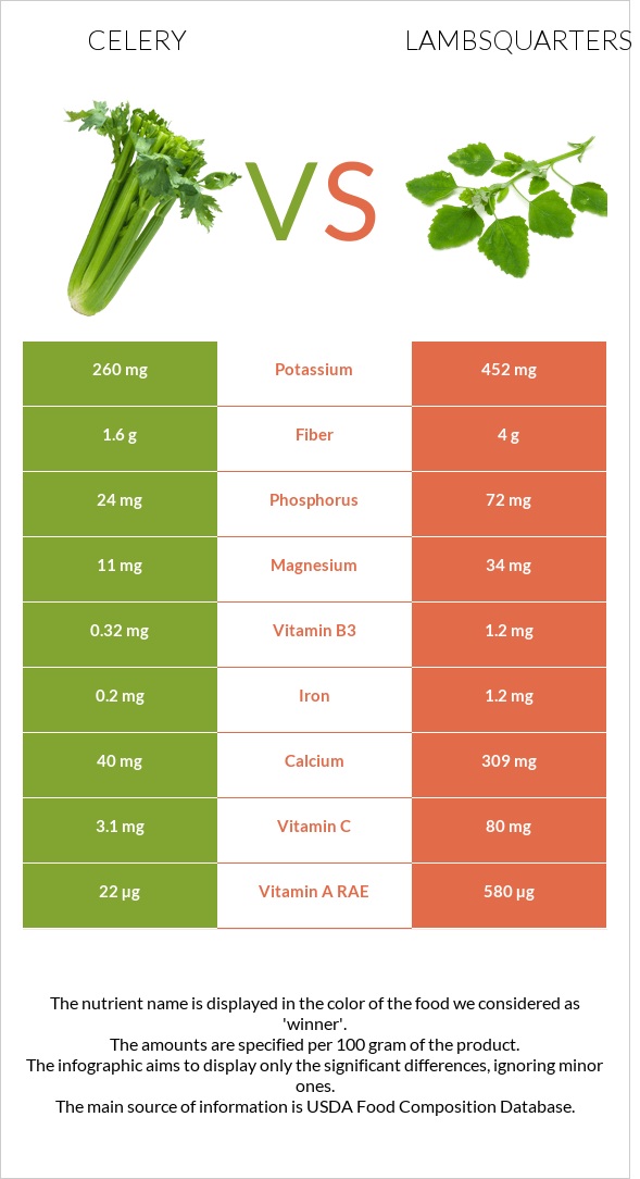 Celery vs Lambsquarters infographic