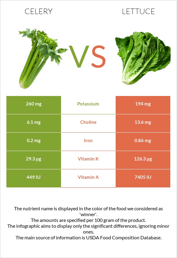 Celery vs Lettuce infographic