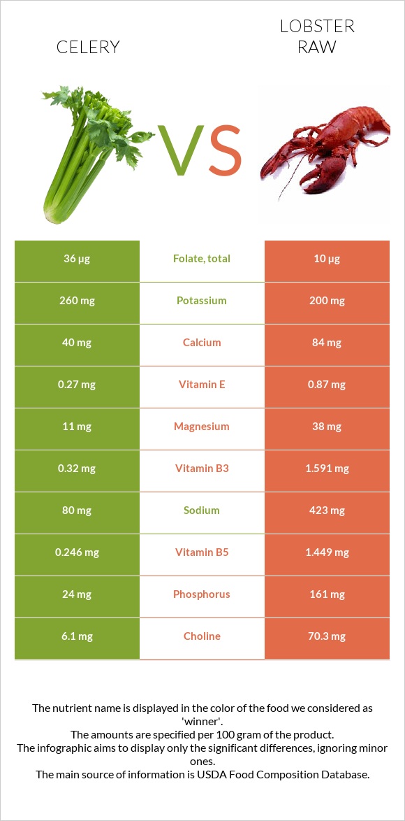Celery vs Lobster Raw infographic