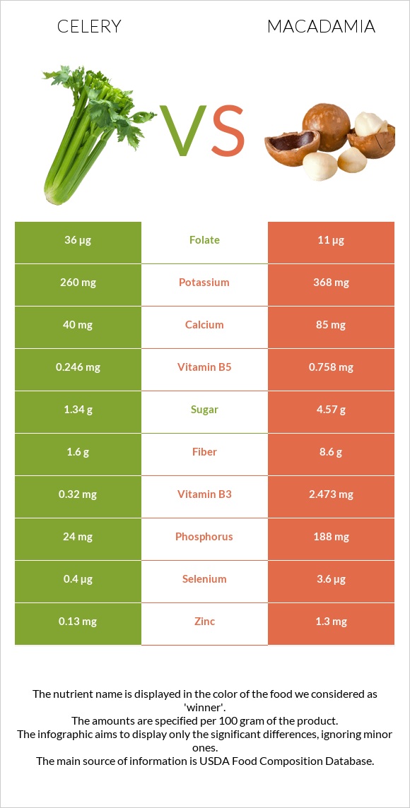 Celery vs Macadamia infographic