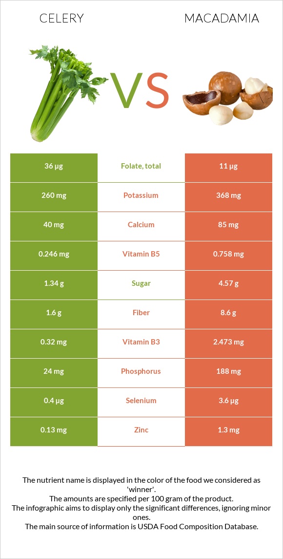 Celery vs Macadamia infographic