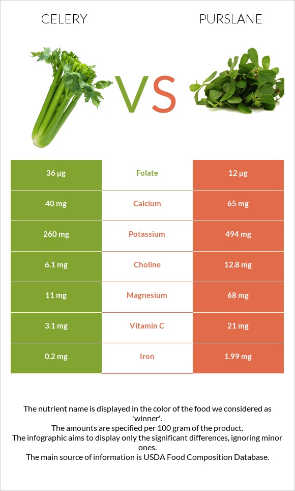 Նեխուր բուրավետ vs Purslane infographic