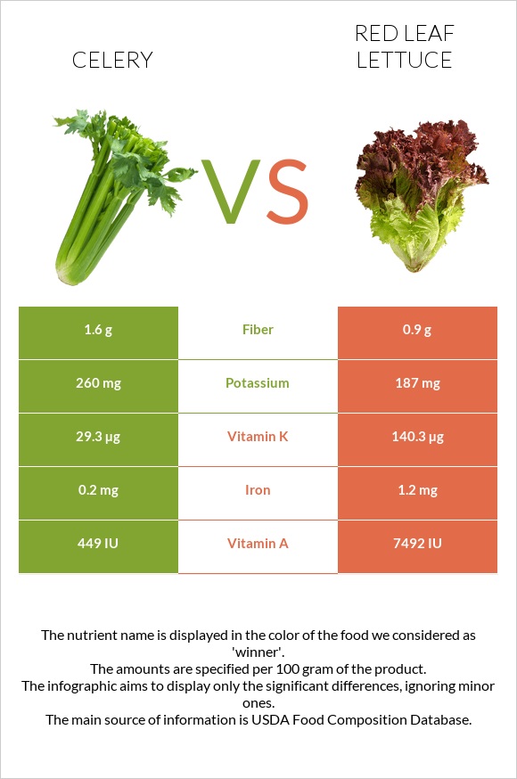 Celery vs Red leaf lettuce infographic