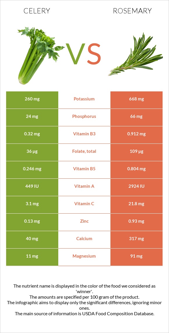 Celery vs Rosemary infographic