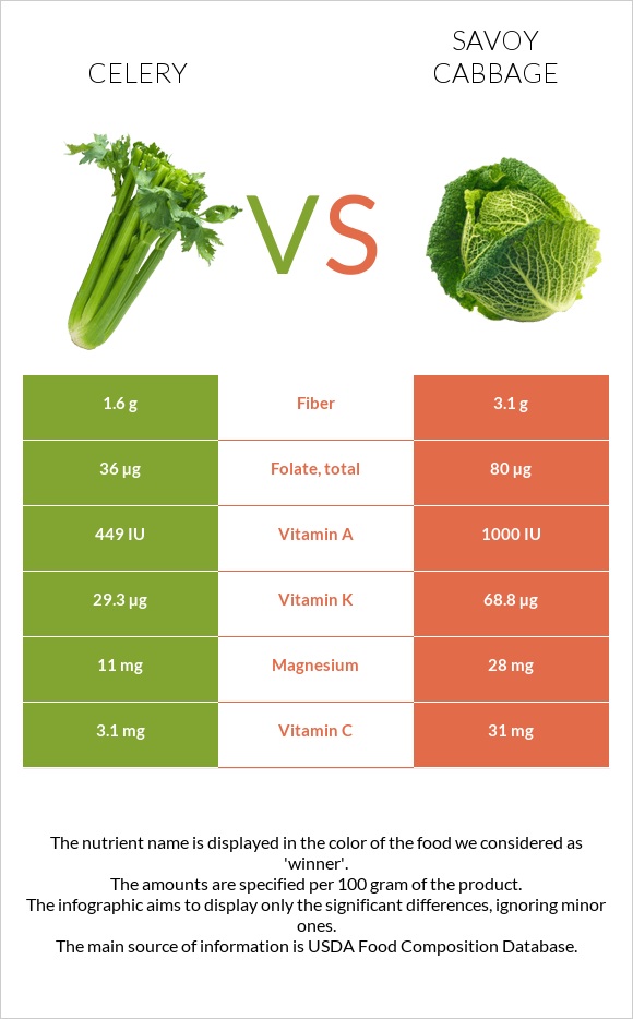 Celery vs Savoy cabbage infographic