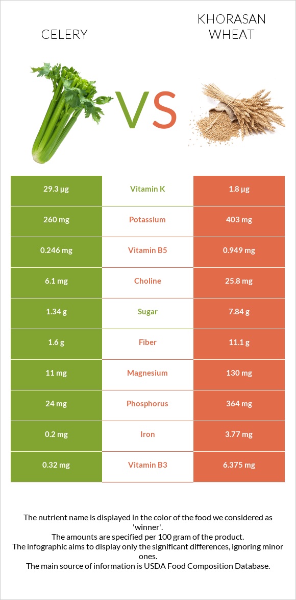 Celery vs Khorasan wheat infographic