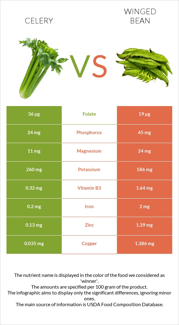 Celery vs Winged bean infographic