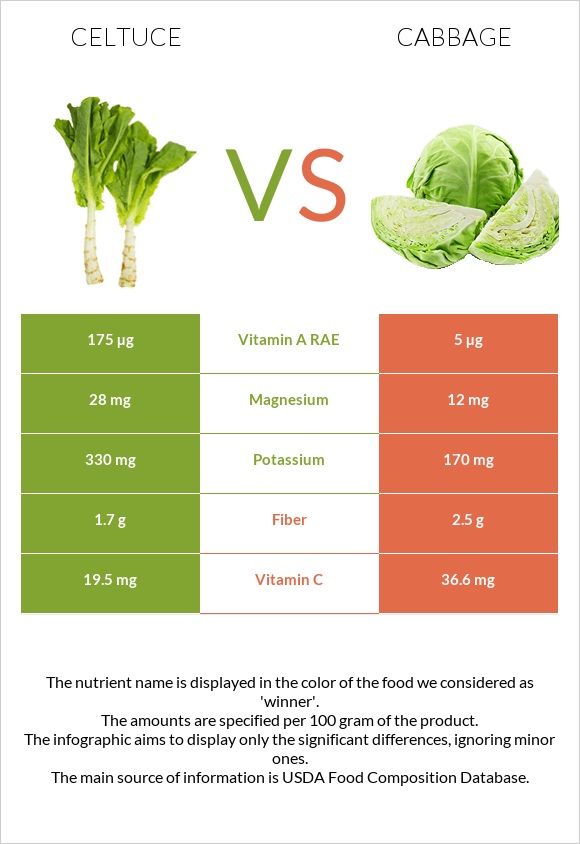 Celtuce vs Cabbage infographic