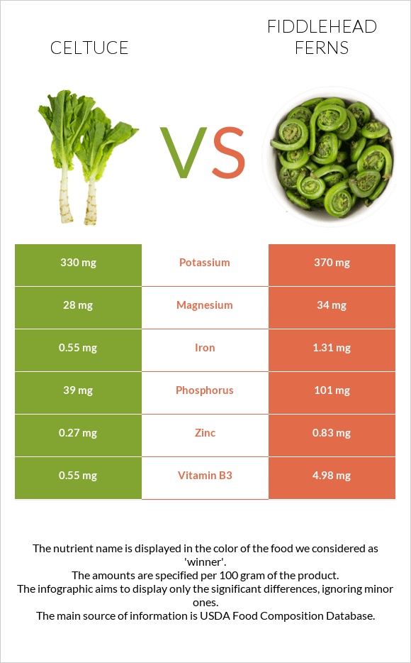Celtuce vs Fiddlehead ferns infographic