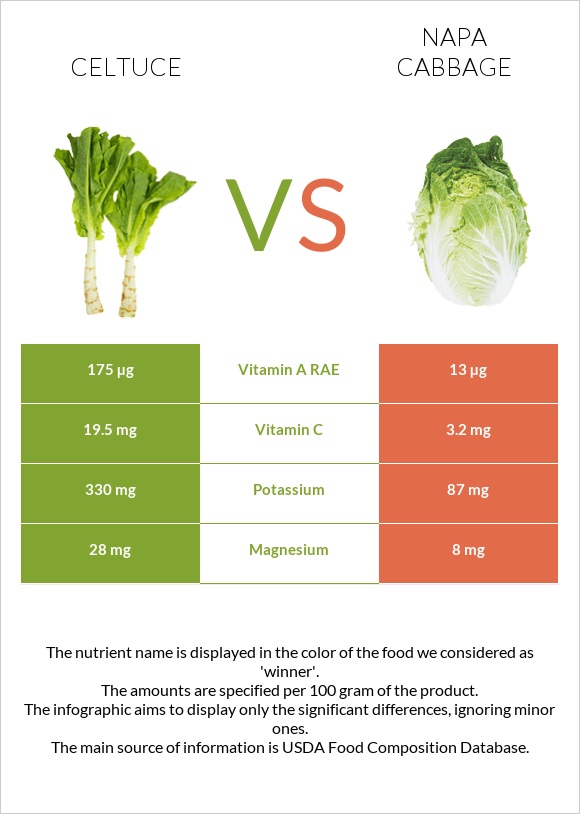 Celtuce vs Napa cabbage infographic