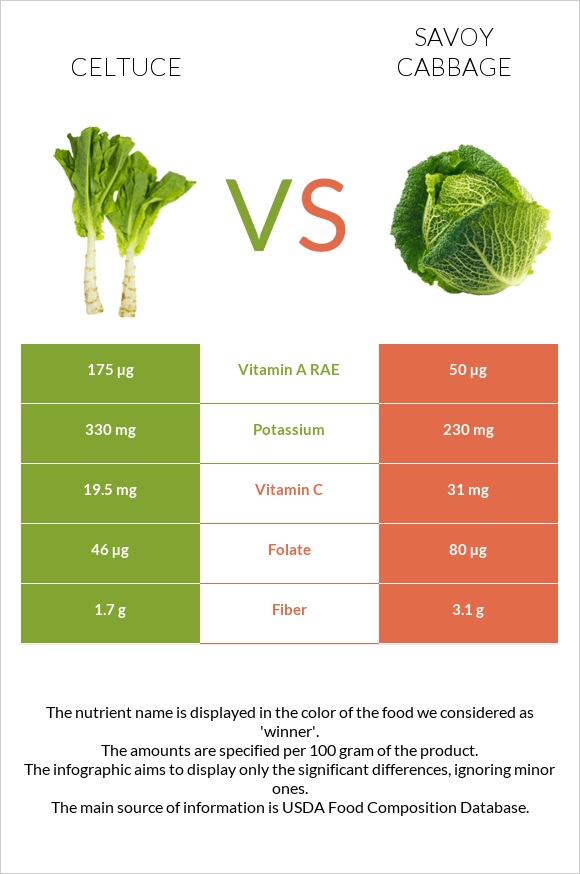 Celtuce vs Savoy cabbage infographic