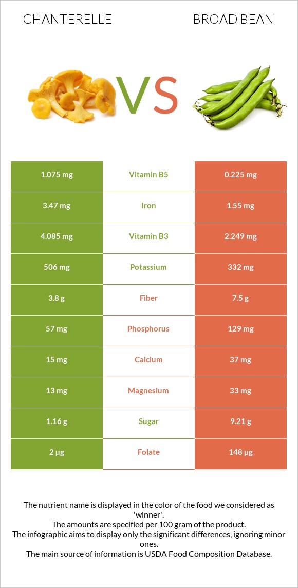 Chanterelle vs Broad bean infographic