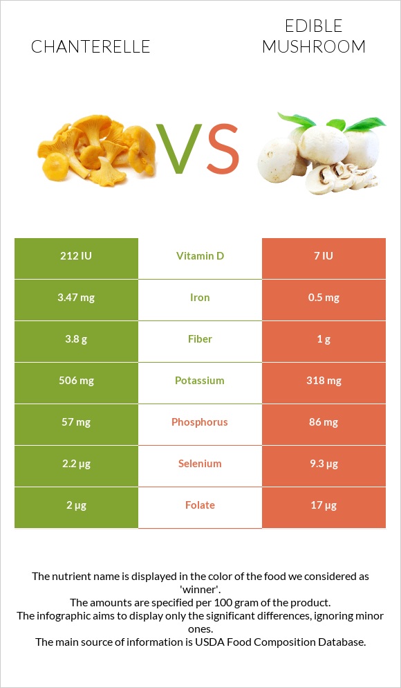 Chanterelle vs Edible mushroom infographic