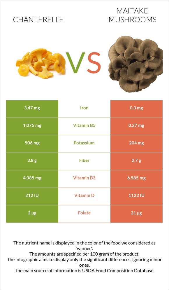 Chanterelle vs Maitake mushrooms infographic