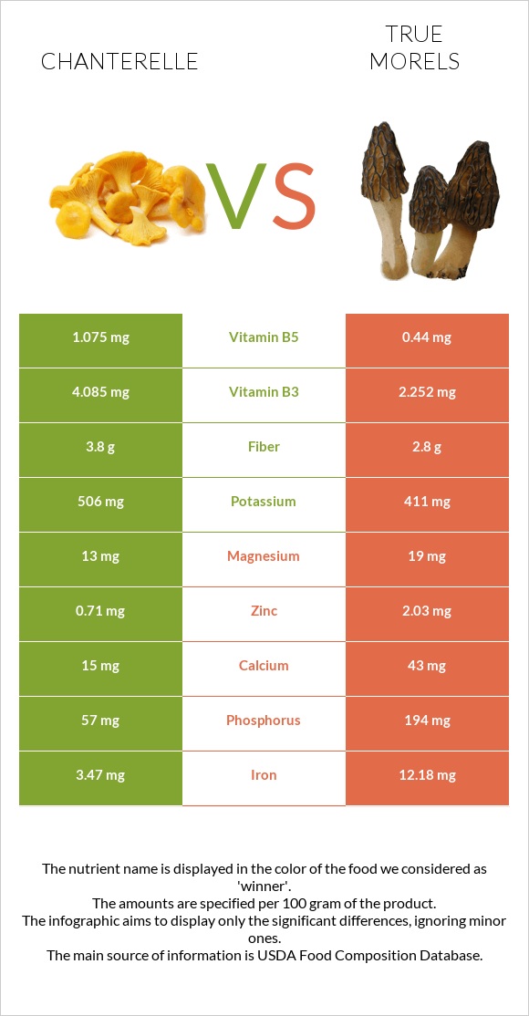 Chanterelle vs True morels infographic