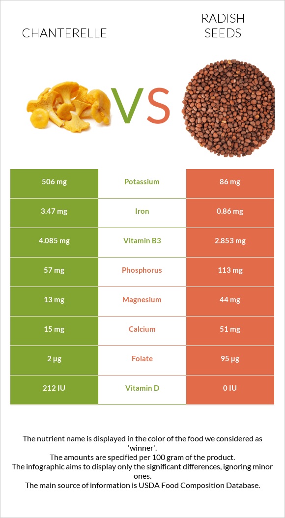 Chanterelle vs Radish seeds infographic